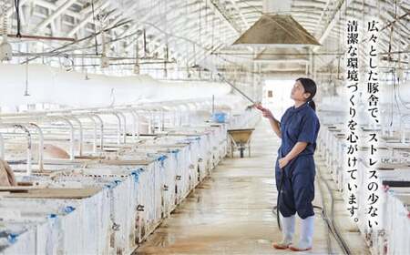 東村産アグーブランド豚『パイとん』焼肉用 600g（バラ）