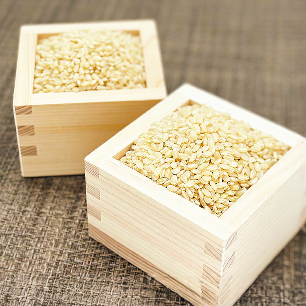 【ふるさと納税】【令和7年産】玄米 アヒル農法 恋の予感 5kg 栽培期間中農薬・化学肥料不使用 岡山県倉敷市産 おにぎり お弁当 冷めてもおいしい 送料無料