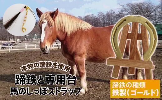 蹄鉄 （ 鉄製 ゴールド ）& 専用台 & 馬のしっぽの毛 ストラップ 【馬っこパーク・いわて】／ 馬蹄 てい鉄 さび止め 錆止め サビ止め 鉄 金 金色 加工 馬毛 尻尾 栗毛 鹿毛 芦毛 誕生石 幸運 開運 厄除け 魔除け アイテム 本物 インテリア アクセサリー おすすめ