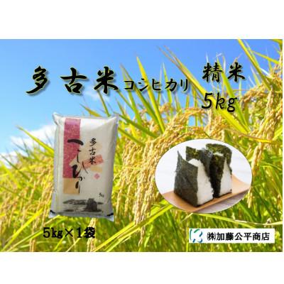 ふるさと納税 多古町 【令和7年産】多古米コシヒカリ 精米5kg