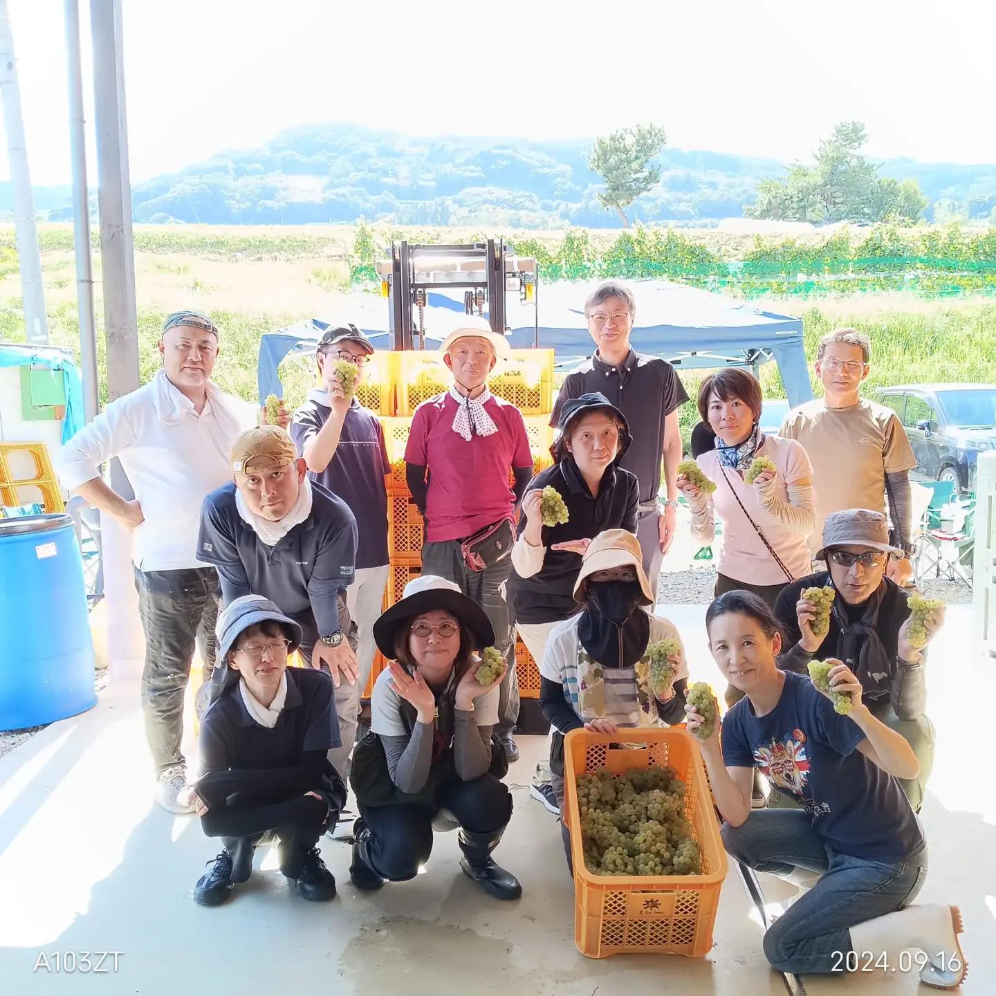 【定期便 4回】ワイン 計5種 季節ごとにお届け｜ ワイン