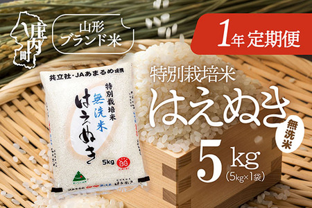 ＜11月中旬開始＞庄内米1年定期便！特別栽培米はえぬき無洗米 5kg（入金期限：2025.10.25）