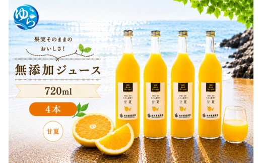 
                  甘夏 100% ジュース / 甘夏 ストレート 果汁 無添加 柑橘 和歌山 14000円 720ml ※北海道・沖縄・離島への配送不可 //drink 【ikd100-ama720-4】
                