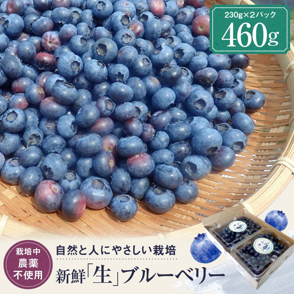 【ふるさと納税】【2026年発送先行受付】治助ファームの北部ハイブッシュブルーベリー「生果実」230g×2パック （栽培中農薬不使用）| ブルーベリー 果物 果実 完熟 フルーツ 飛騨高山 治助ファーム LJ001 | フルーツ 果物 くだもの 食品 人気 おすすめ 送料無料