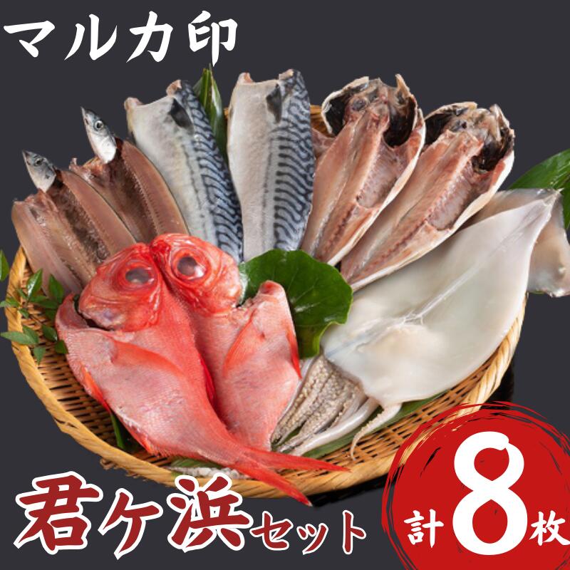 【ふるさと納税】 マルカ印 君ヶ浜セット 千葉県 銚子市 さんま あじ いか さば つりきんめ