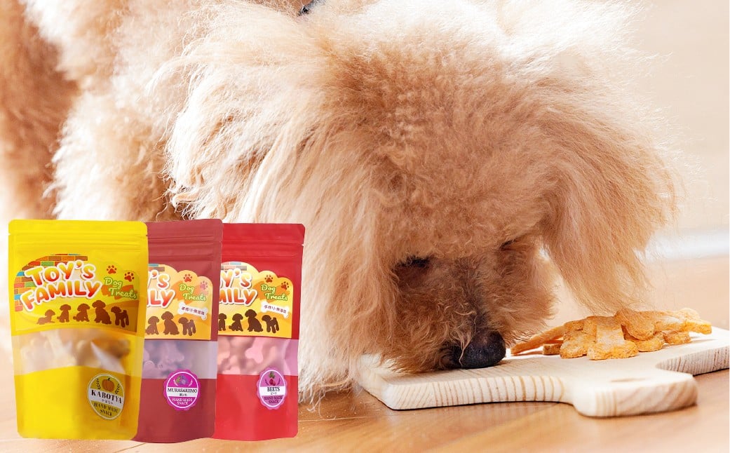 
            犬用カリカリおやつ【ぐんぐんデトックス】 40g×3個（計120g） ペットフード 犬 ペット ドッグフード カリカリ 犬用おやつ 健康 低カロリー 日用品 雑貨
          