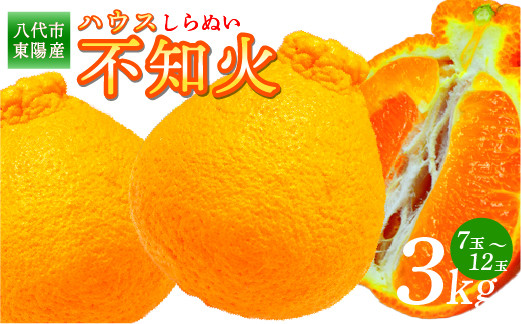 
            【先行予約】 八代市東陽産ハウス不知火 3㎏(7玉～12玉) 不知火 しらぬい 蜜柑 ミカン 柑橘 フルーツ 果物 旬 九州産 熊本県産【2026年1月下旬より順次発送】
          