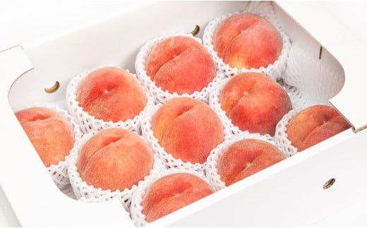 08-06-010　もも(大玉あかつき)約3kg