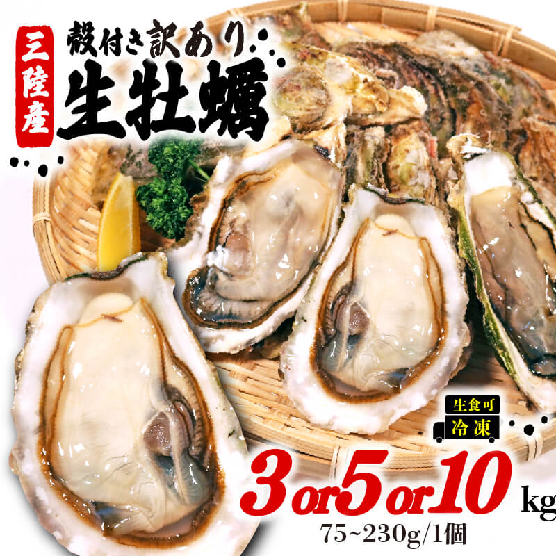 【ふるさと納税】 訳あり 牡蠣 3kg/5kg/10kg（生食可) かき カキ 冷凍 岩手県産 殻付き 生食 生食用 訳あり わけあり 大きさ不揃い 不揃い 三陸 三陸産 カンカン焼き かんかん焼き BBQ バーベキュー 貝 海 海のミルク 株式会社國洋 岩手県 大船渡市