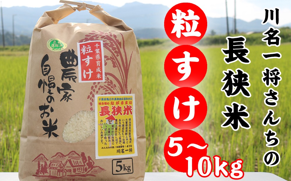 
                  【令和7年産】川名一将さんちの長狭米　長狭米『粒すけ』 5~10kg [0014-0039]
                