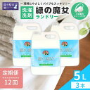 【ふるさと納税】＜毎月定期便＞環境配慮型洗剤緑の魔女ランドリー5L×3セットを全12回発送 | 茨城県 龍ケ崎市 洗剤 パイプクリーナー 詰まり 臭い 排水溝 環境配慮 洗濯槽 手肌 優しい 汚れ 蛍光増白剤 漂白剤 不使用 赤ちゃん 安心 お中元 お歳暮 ギフト 洗濯 液体 4003960