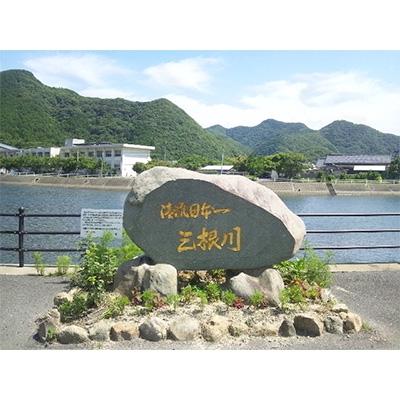ふるさと納税 対馬市 【令和7年産】先行受付長崎県対馬産「ほたる舞う三根川の米」なつほのか　白米(5kg×2) |  | 03