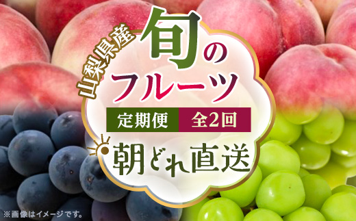 【発送月固定定期便】【2026年先行受付】旬のフルーツ定期便 桃2kg・巨峰/シャイン全2回【配送不可地域：離島・沖縄県】