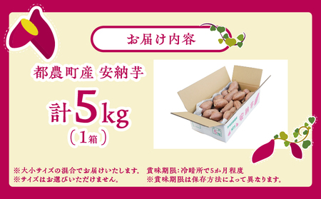 先行予約≪期間限定≫都農町産安納芋(計5kg) 野菜 芋 イモ 国産_T016-0011