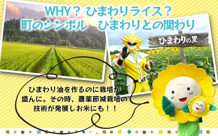 白米 ゆめぴりか 5kg 新米 予約 / ごはん こめ 米 お米 北海道 北海道米 ※10月～順次発送 【sun400-yume-r5】