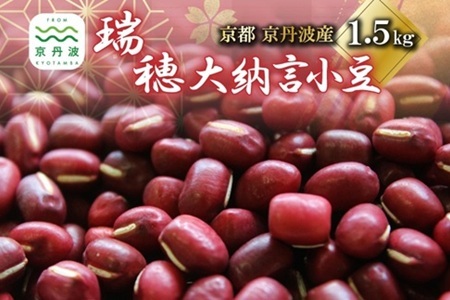 瑞穂大納言小豆1.5kg 京都 京丹波町産 ブランド 小豆 あずき [024KK002]