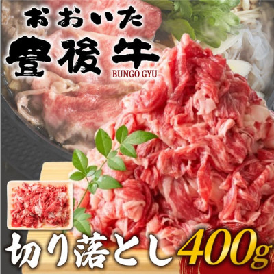 
            おおいた豊後牛切り落とし 400g(日出町)【1571541】
          