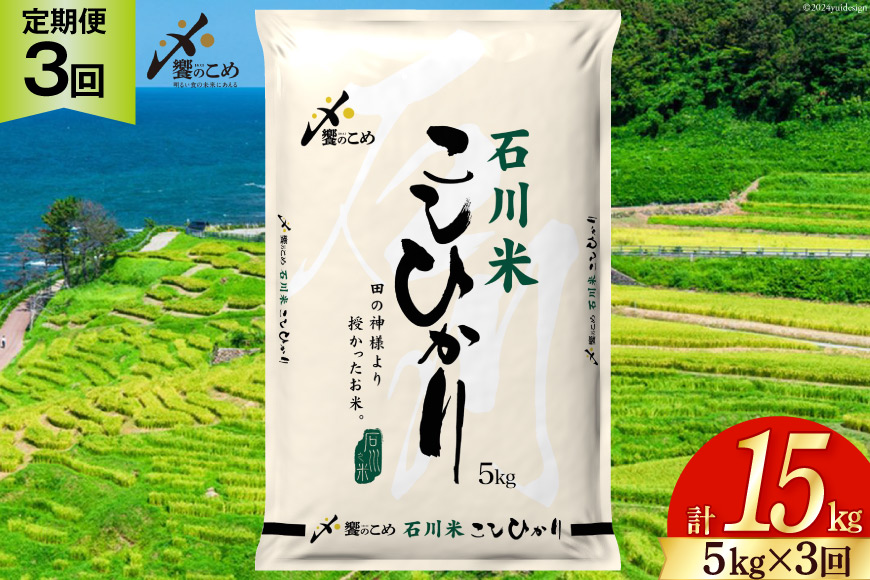 米 定期便 石川米こしひかり【穂立】5kg×3回 総計15kg [中橋商事 石川県 宝達志水町 38601207] コシヒカリ お米