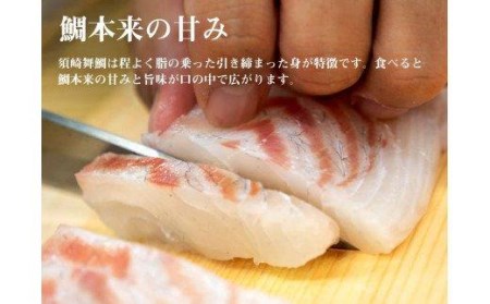 鯛 タイ 刺身 まるごと 1匹分 400～500g 鮮魚 冷蔵 須崎舞鯛 ブランド 魚 産地直送 高知県 須崎市  鯛 鯛飯 鯛 カルパッチョ たい 酢ミカン 鯛 炙り タイ 昆布締め 鯛 塩焼き 鯛