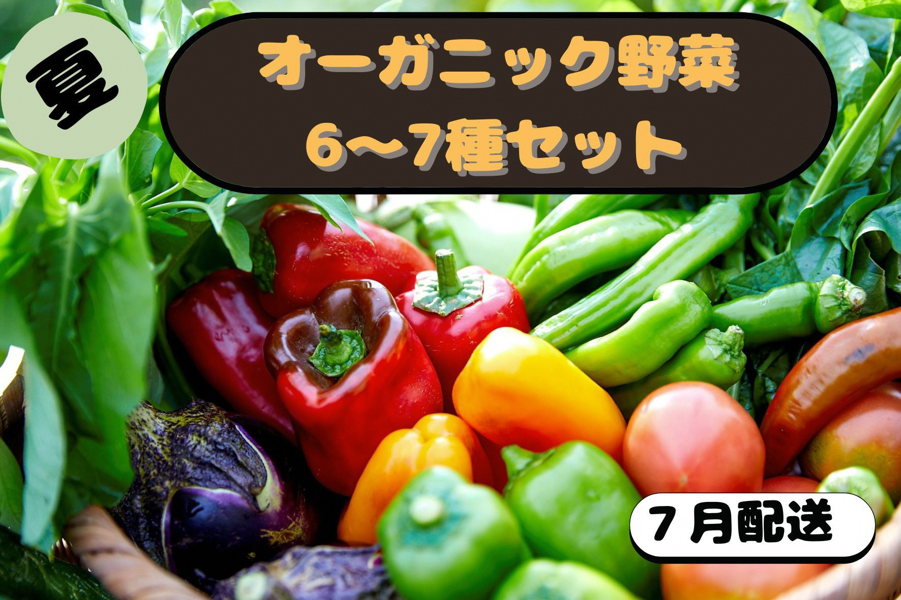 
            【先行予約：7月配送】＜てんとうむしばたけ＞夏のオーガニック野菜セット　有機野菜6～7種前後　BR00041_07
          