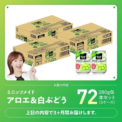 【3ヶ月定期便】ミニッツメイド「アロエ&白ぶどう」280g缶 72本（24本×3箱） 【 飲料 アロエ 白ぶどう 果汁 長期保存 定期便 】 [C11133t3]