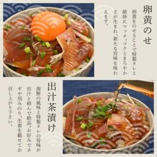 【3回定期便】訳あり土佐の海鮮漬け丼（5種×各2袋）セット 漬け丼の素 タイ 鯛 ブリ 鰤 マグロ 鮪 イカ カツオ 鰹 たたき 新鮮 魚 おかず おつまみ 惣菜 小分け 簡単 訳アリ わけあり_イメ