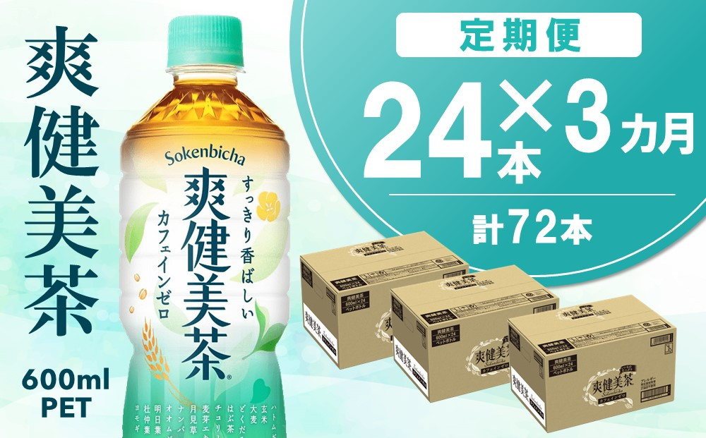 
            【3カ月定期便】爽健美茶 600mlPET×24本(合計3ケース)【コカコーラ カフェインゼロ 定期便 香ばしい おいしい 国産 お茶 ハトムギ 玄米 月見草 大麦 ドクダミ 飲料 ペットボトル】B3-C090380
          