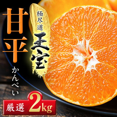 【ふるさと納税】「玉宝ブランド」【甘平】2kg/3kg/5kg/10kg【G1511245】_ みかん 甘平 かんぺい カンペイ 玉宝 愛媛のみかん 柑橘 果物 くだもの フルーツ 美味しい 甘い シャキシャキ プチプチ 愛媛 ご当地 愛媛県 八幡浜市 人気 送料無料 【G1511245】