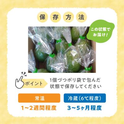 ふるさと納税 天草市 天草南蛮レモン　等級「優良混」1kg_S131-004A |  | 03