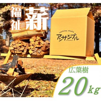 ふるさと納税 伊那市 信州産　広葉樹の薪　約20キロ　薪長35センチ