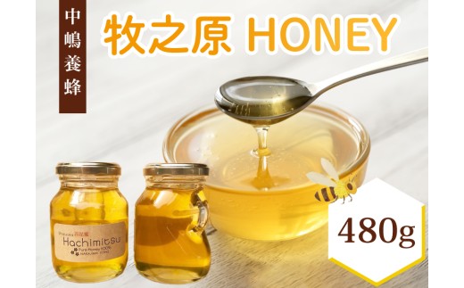 【国産】牧之原産はちみつ  はちみつ 蜂蜜 国産 240g × 2瓶 ハチミツ 蜂蜜 みかん 国産 ギフト 贈答品 高糖度 保存食 母の日 父の日 敬老の日 簡単 食卓 安心 安全 非加熱 蜜 天然 100% 濃厚 自然 酸味 フルーティー 贈答 プレゼント 食卓 純粋 はちみつ 生はちみつ 百花 はちみつ 天然 ハニー 瓶   パンケーキ 菓子  防災 国産 静岡県 牧之原市 中嶋養蜂園