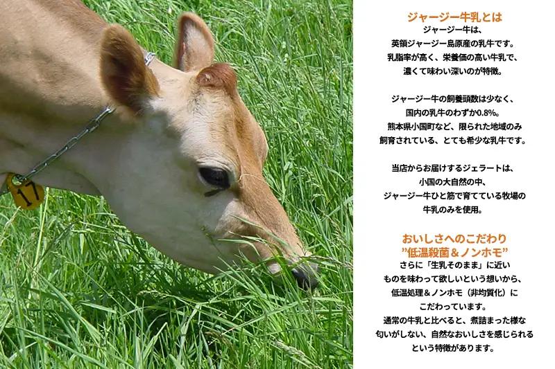 【OGUNIYA JERJEY】阿蘇小国ジャージージェラート ミルク 12個 ゴールデンミルク 牧場しぼり 山吹色のジャージー牛乳使用 お取り寄せ ご褒美 簡易のし 贈答 ギフト 記念日 ご自宅用 チ
