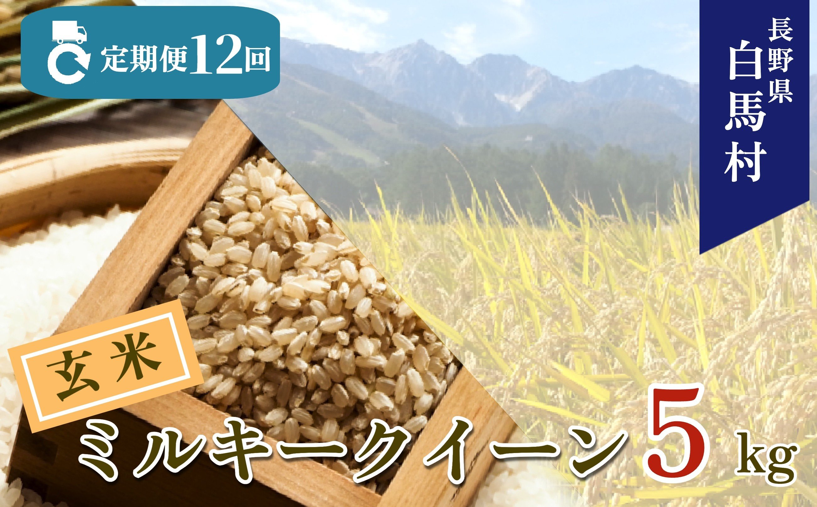 
            ＜12ヶ月間お届け＞＜令和7年産・新米・先行予約＞白馬産ミルキークイーン【玄米】5kg 全12回/長野県白馬村  2025年産  定期便  米  玄米発送  お米  ご飯  ごはん  送料無料【B0030165】
          