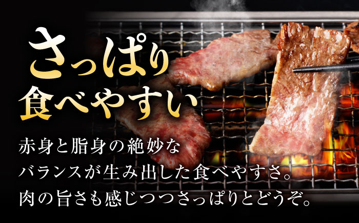 【味付き】 【柔らかさとコクの融合！】長崎和牛 ハラミ 300g / 国産 牛肉 和牛 焼肉 はらみ / 諫早市 / 野中精肉店 [AHCW116]