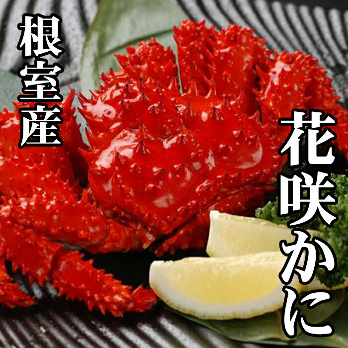 【ふるさと納税】[北海道根室産]花咲かに (300g前後〜450g前後×3尾) (300g前後〜450g×4尾) (300〜450g×8尾) (400g前後〜550g前後×3尾) (400〜550g前後×4尾) (400g〜500g前後×6尾) (400〜600g×10尾) (500〜650g×2尾) (500〜650g前後×3尾) (500〜650g×6尾) 根室市