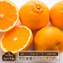 【ふるさと納税】先行予約 / 西田農園のハウスでこぽん(不知火)約3kg