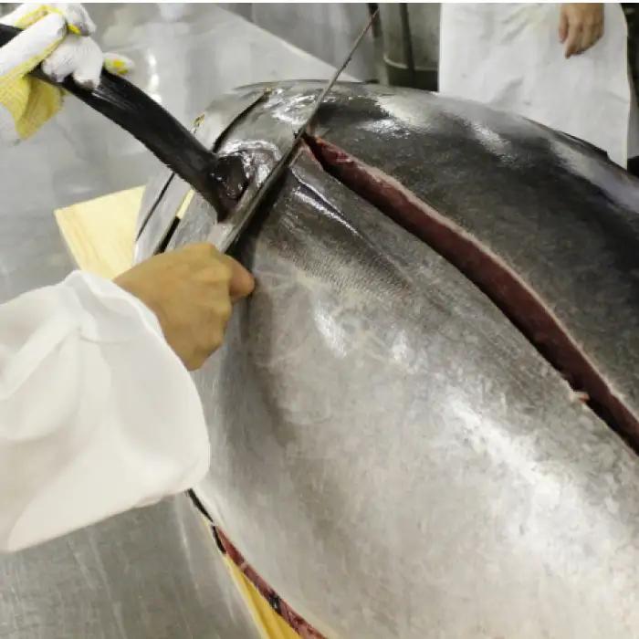 まぐろ ねぎとろ 約500g [AKAK120] ねぎとろ