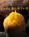 【ふるさと納税】高知県産　あんのういも　約3kg【安納紅芋】　特産品【※10月下旬頃から発送】