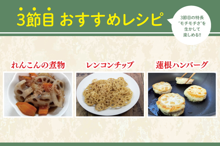 【洗い】「横瀬農園のれんこん」 約２kg（２本入）/ 農家直送 レンコン れんこん 茨城県産 野菜 根菜 行方市産  新鮮 栄養豊富 生産量 日本一(HB-5)
