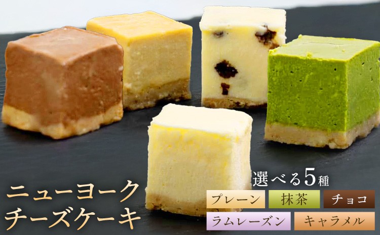 
            ニューヨーク チーズケーキ 選べる プレーン 抹茶 チョコ ラムレーズン キャラメル 16個入り (1箱)《30日以内に出荷予定(土日祝除く)》和歌山県 紀の川市 サクセム株式会社 チーズ ケーキ クリームチーズ キューブ
          