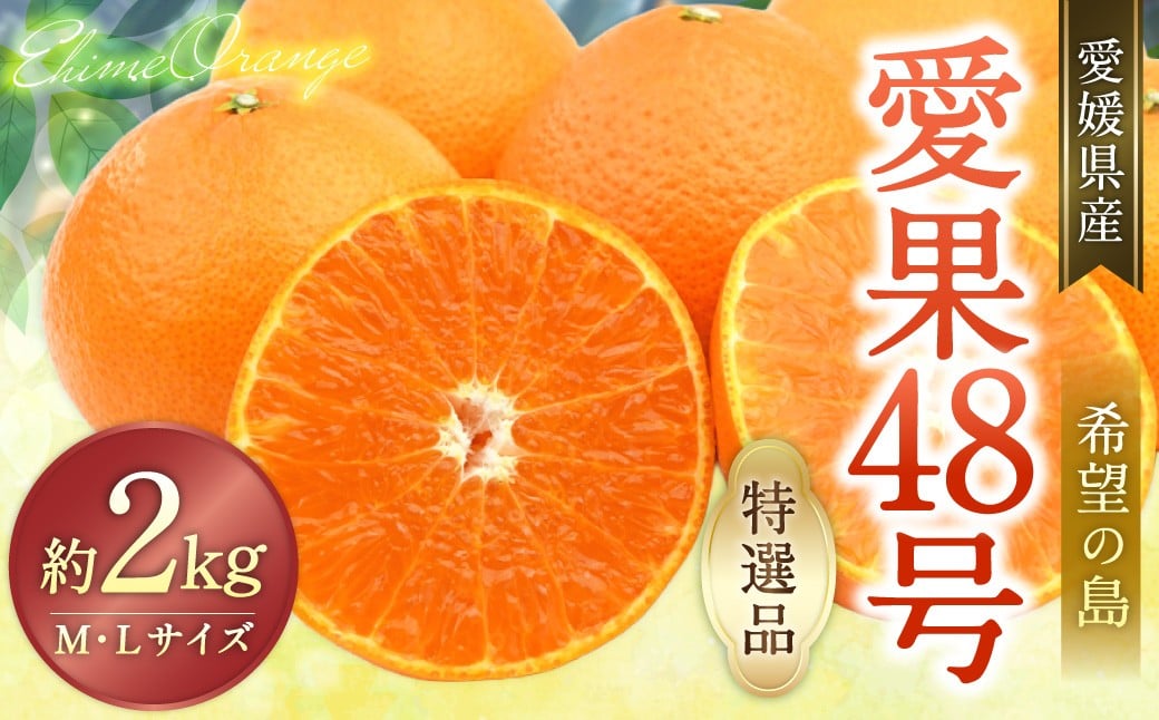 
                  【希望の島】 愛果48号 特選品 中玉 2kg 愛媛県 松山市 中島産（1022） 【2026年3月下旬～4月下旬迄順次発送予定】 みかん 特選品 果物 フルーツ デザート オリジナルブランド 国産 常温 愛媛県
                