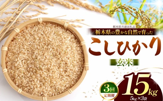 【先行予約】【定期3回】 こしひかり（玄米）約 15kg 栃木県共通返礼品｜コシヒカリ 米 玄米 おいしい お米 こめ おこめ  国産 ごはん ご飯  米 おこめ 限定 ランキング 人気  ふるさと 納税 栃木県 那珂川町 送料無料