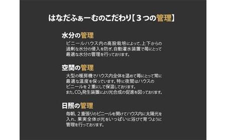 伊賀忍者いちご プレミアムモカベリー 4パックセット（約270g×4）ボトル3本セット［苺　いちご　苺　イチゴ　いちご