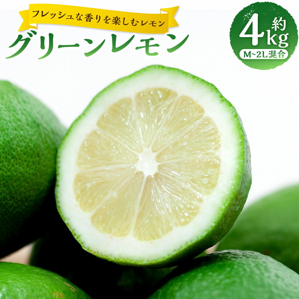 【ふるさと納税】【フレッシュな香りを楽しむ青いレモン】 グリーンレモン 約4kg M～2L混合 レモン れもん 檸檬 柑橘 かんきつ フルーツ くだもの 果物 果実 料理 愛媛県産 国産 愛媛県 送料無料 【2026年9月下旬～11月下旬発送予定】 （1042）