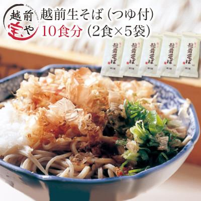 ふるさと納税 福井市 越前そば 生蕎麦 10食 つゆ付き