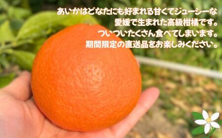 愛果28号 3kg ご家庭用 みかん 愛媛 【2024年12月発送】 先行予約 数量限定 愛媛県産 人気 柑橘 伊予市｜B246