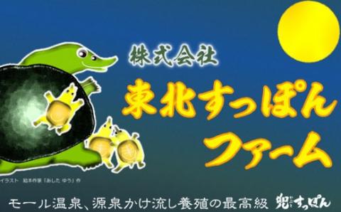 モール温泉「兜すっぽん」鍋　醤油・生姜味2セット【02402-0169】