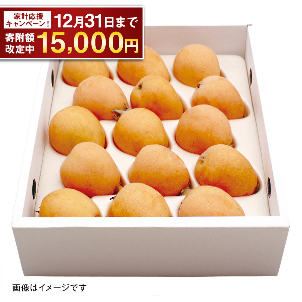 【5月配送】茂木 びわ『なつたより』2Lサイズ 15玉入り 枇杷 フルーツ 長崎市/川口農園