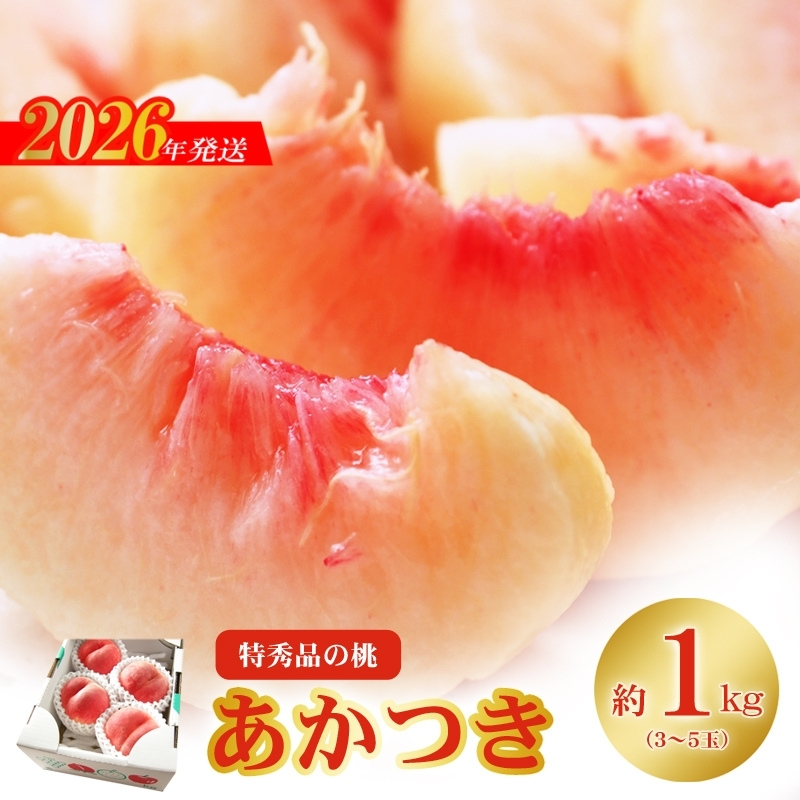 No.2434もも「あかつき」特秀品約1kg【2026年発送】