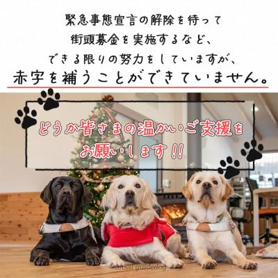 ふるさと納税 亀岡市 盲導犬訓練 支援寄付[盲導犬協会オリジナルグッズ]エコバッグなど3点 |  | 03